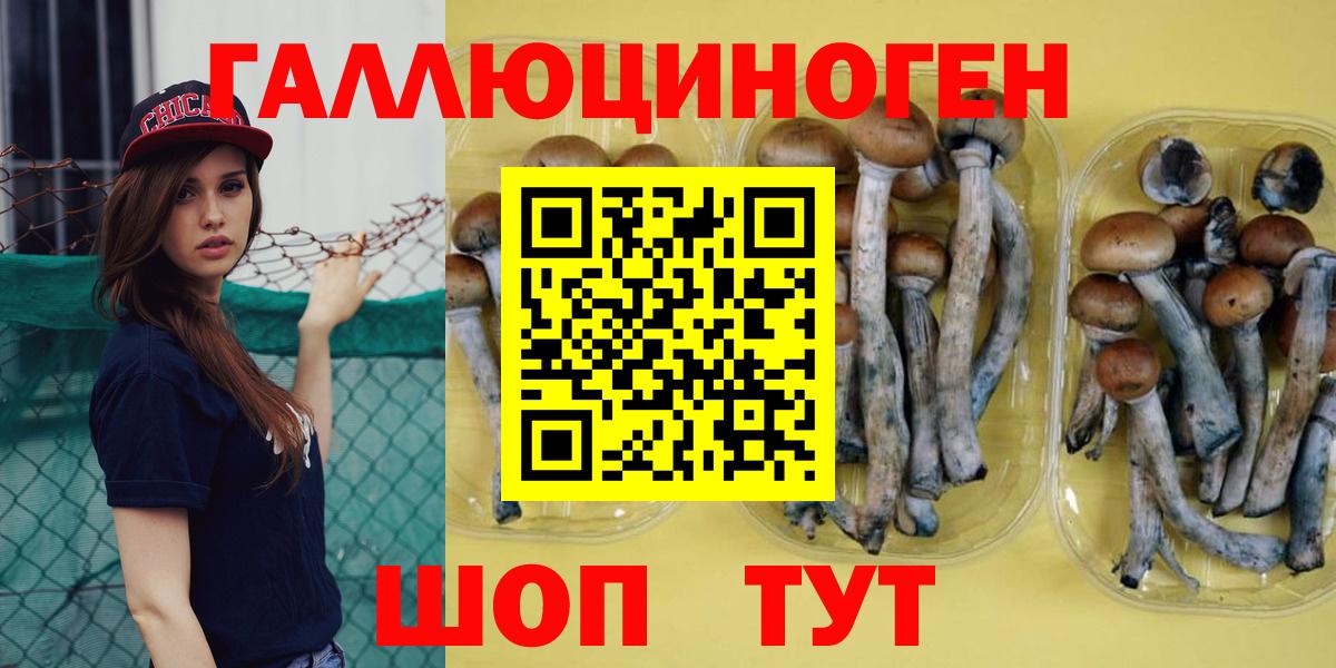 Касимов  Галлюциногенные грибы прущие грибы  где можно купить   Вход с VPN 